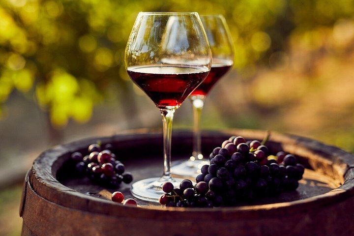 Small-Group Day Trip from Milan: La Morra, Grinzane Cavour Castle and Barolo Wine Cellars (9/12)