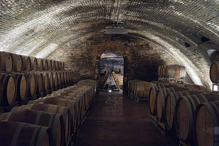 Small-Group Day Trip from Milan: La Morra, Grinzane Cavour Castle and Barolo Wine Cellars (6/12)