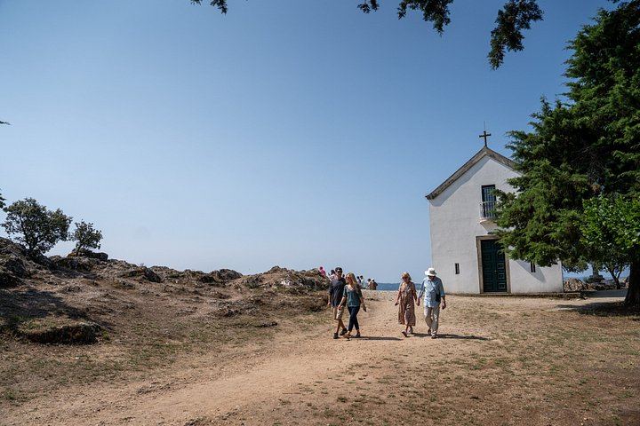 Douro Valley Half-Day Minibus Tour from Porto: Quinta de S. Luiz, Boat Trip, Viewpoint (9/9)