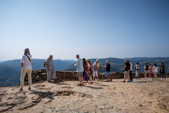 Douro Valley Half-Day Minibus Tour from Porto: Quinta de S. Luiz, Boat Trip, Viewpoint (6/9)