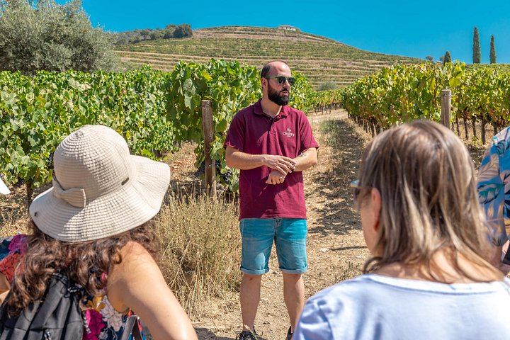 Douro Valley Half-Day Minibus Tour from Porto: Quinta de S. Luiz, Boat Trip, Viewpoint (5/9)