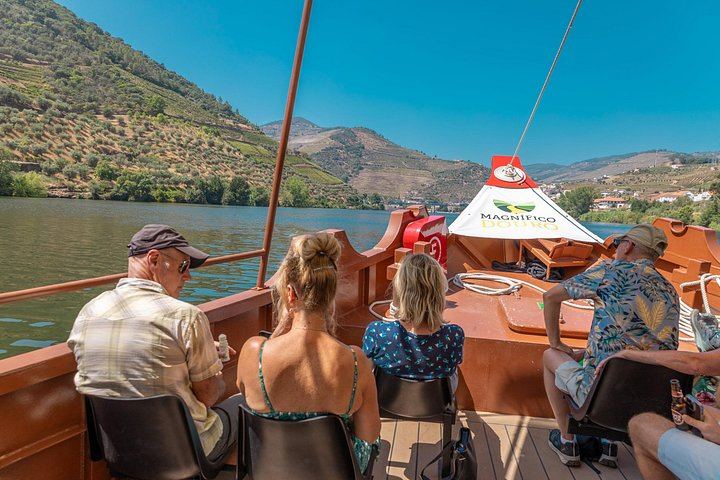 Douro Valley Half-Day Minibus Tour from Porto: Quinta de S. Luiz, Boat Trip, Viewpoint (4/9)