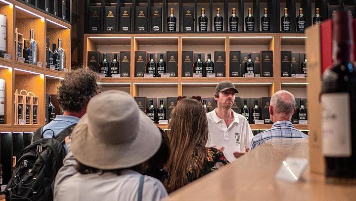 Douro Valley Half-Day Minibus Tour from Porto: Quinta de S. Luiz, Boat Trip, Viewpoint (1/9)