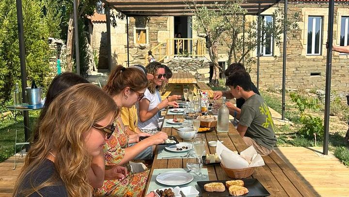 Porto to Douro Valley: Quinta do Laranjo Winery Brunch and 1-Hour River Cruise by Van (3/12)