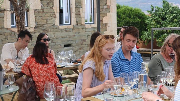 Porto to Douro Valley: Quinta do Laranjo Winery Brunch and 1-Hour River Cruise by Van (1/12)