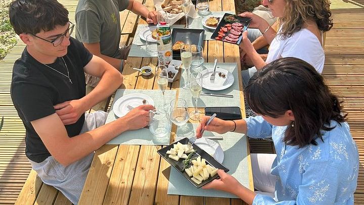 Porto to Douro Valley: Quinta do Laranjo Winery Brunch and 1-Hour River Cruise by Van (4/12)