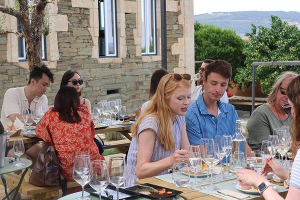 Douro Valley Half-Day Tour with Winery Brunch, Tastings and One-Hour Pinhão Boat Cruise