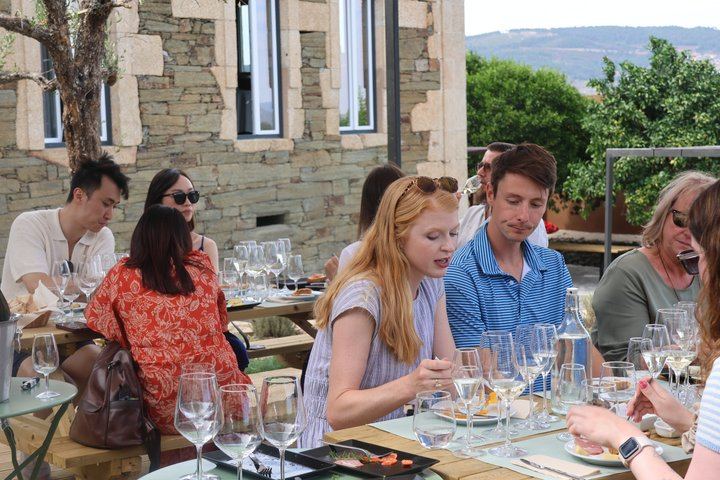 Porto to Douro Valley: Quinta do Laranjo Winery Brunch and 1-Hour River Cruise by Van (1/12)
