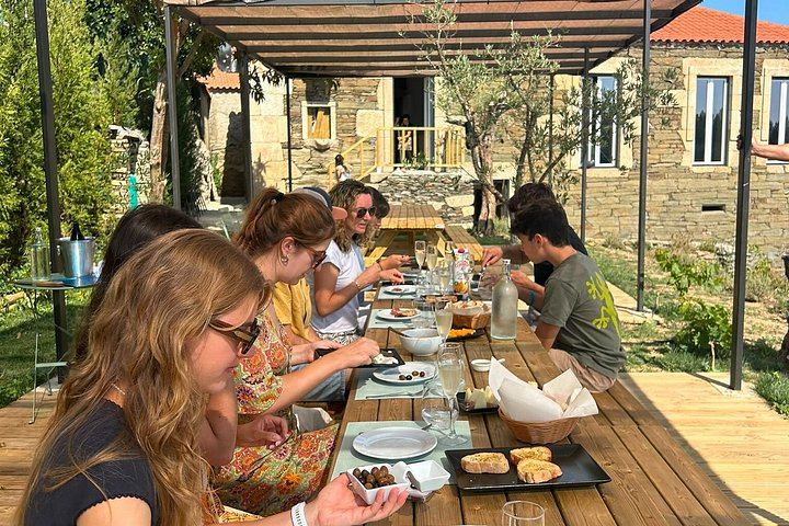 Porto to Douro Valley: Quinta do Laranjo Winery Brunch and 1-Hour River Cruise by Van (3/12)