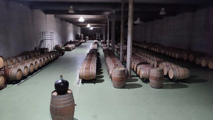 Small-Group Douro Valley Day from Porto: Four Wineries, Ten Wines and Five Olive Oils (2/12)