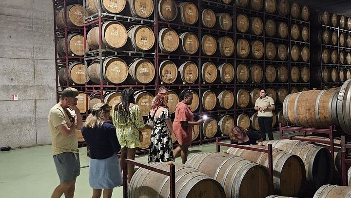 Small-Group Douro Valley Day from Porto: Four Wineries, Ten Wines and Five Olive Oils (3/12)