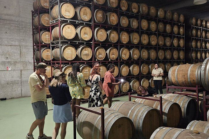 Small-Group Douro Valley Day from Porto: Four Wineries, Ten Wines and Five Olive Oils (3/12)