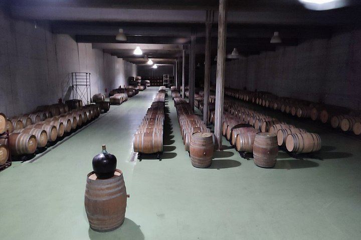 Small-Group Douro Valley Day from Porto: Four Wineries, Ten Wines and Five Olive Oils (2/12)
