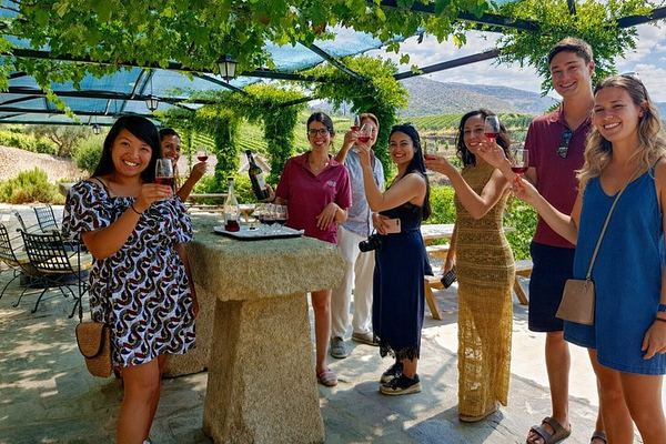 Small-Group Douro Valley Day from Porto: Four Wineries, Ten Wines and Five Olive Oils