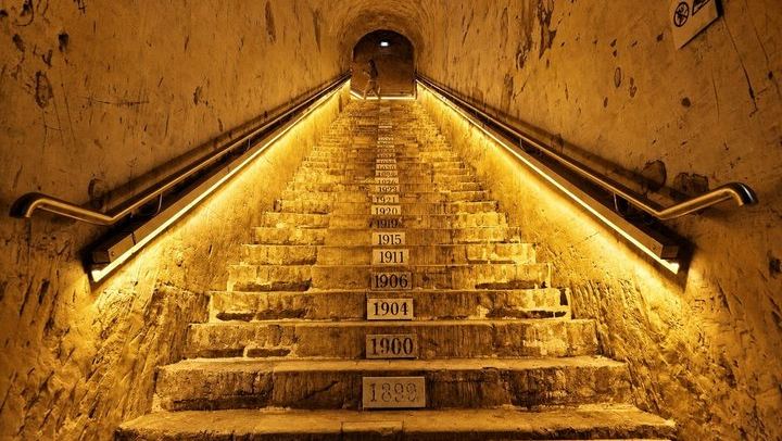 Reims Champagne Day Trip: City Sights, Cathedral, Veuve Clicquot, Rilly-la-Montagne Grower (1/10)