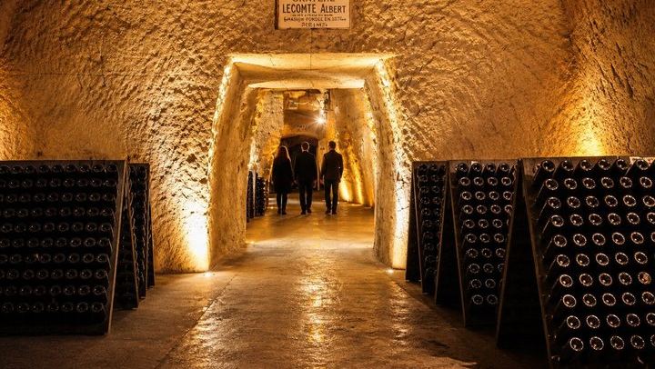 Reims Champagne Day Trip: City Sights, Cathedral, Veuve Clicquot, Rilly-la-Montagne Grower (2/10)