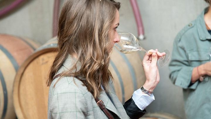 Reims Morning Champagne Tour: Two Family Growers, Six Cuvées, Montagne de Reims Vineyards (3/9)