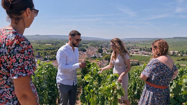 Reims Morning Champagne Tour: Two Family Growers, Six Cuvées, Montagne de Reims Vineyards (2/9)