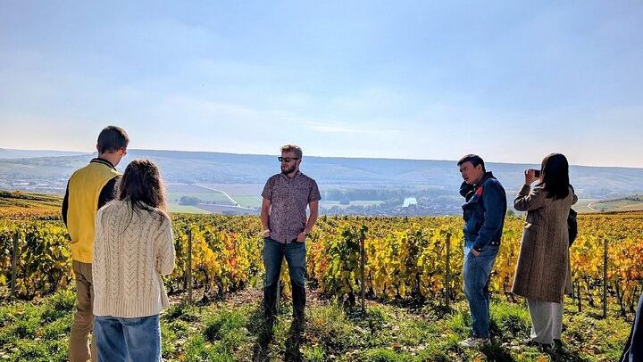 Reims Morning Champagne Tour: Two Family Growers, Six Cuvées, Montagne de Reims Vineyards (1/9)