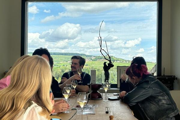 Reims Morning Champagne Tour: Two Family Growers, Six Cuvées, Montagne de Reims Vineyards