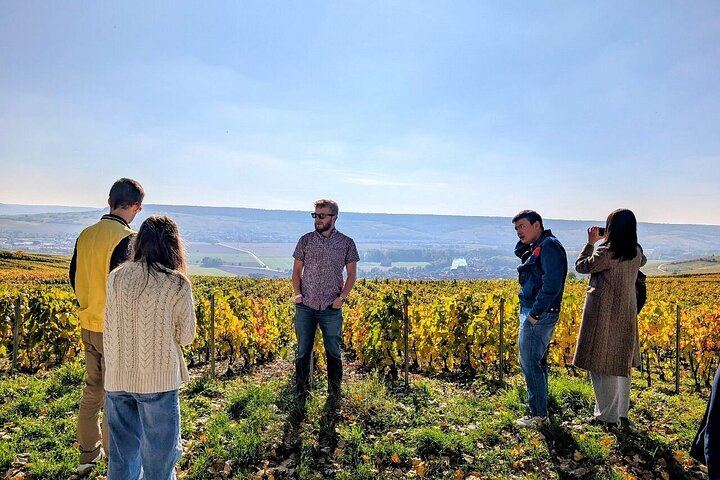 Reims Morning Champagne Tour: Two Family Growers, Six Cuvées, Montagne de Reims Vineyards (1/9)