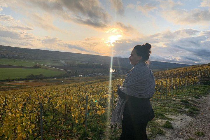 Reims Morning Champagne Tour: Two Family Growers, Six Cuvées, Montagne de Reims Vineyards (4/9)
