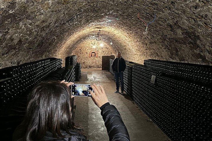 Reims Morning Champagne Tour: Two Family Growers, Six Cuvées, Montagne de Reims Vineyards (8/9)