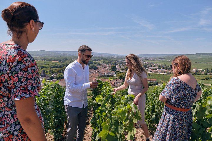 Reims Morning Champagne Tour: Two Family Growers, Six Cuvées, Montagne de Reims Vineyards (2/9)