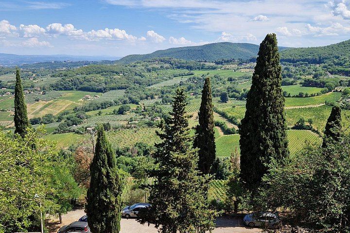 Rome to Montepulciano and Montalcino Day Trip: 12th-Century Winery Lunch, Brunello Museum (7/11)