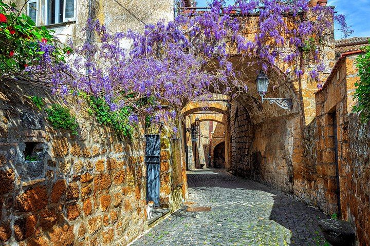 Rome to Montepulciano and Montalcino Day Trip: 12th-Century Winery Lunch, Brunello Museum (10/11)
