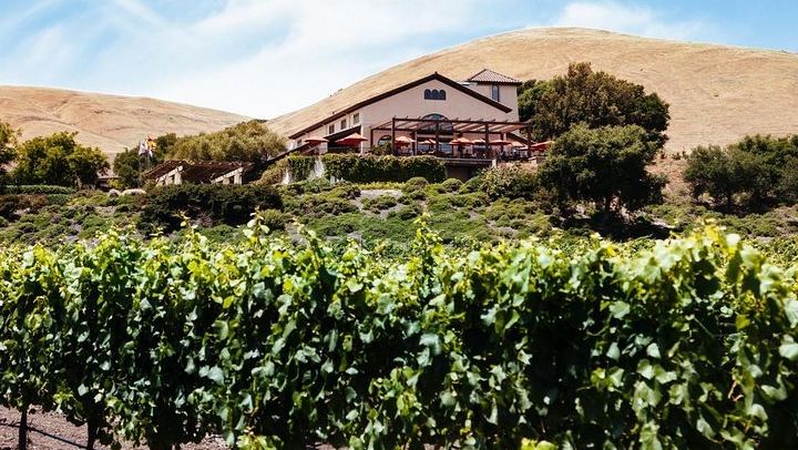 Private 8-Hour Sonoma and Napa Wine Tour from San Francisco with Concierge (2/8)