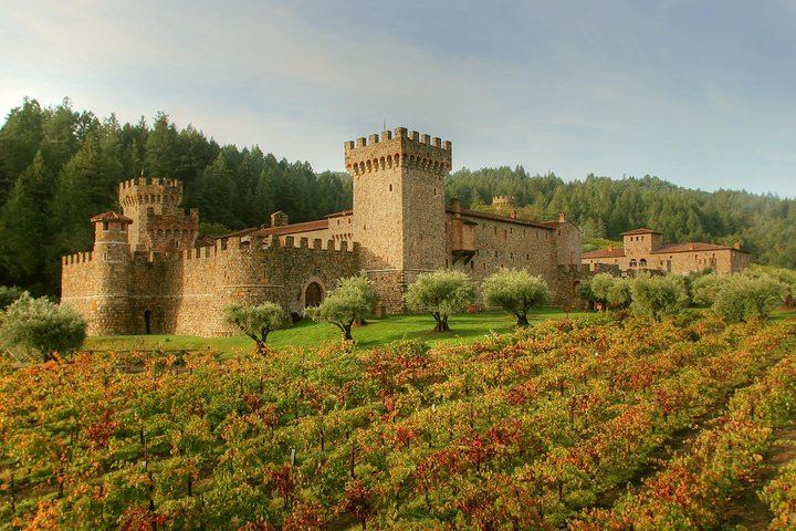 Private 8-Hour Sonoma and Napa Wine Tour from San Francisco with Concierge (8/8)