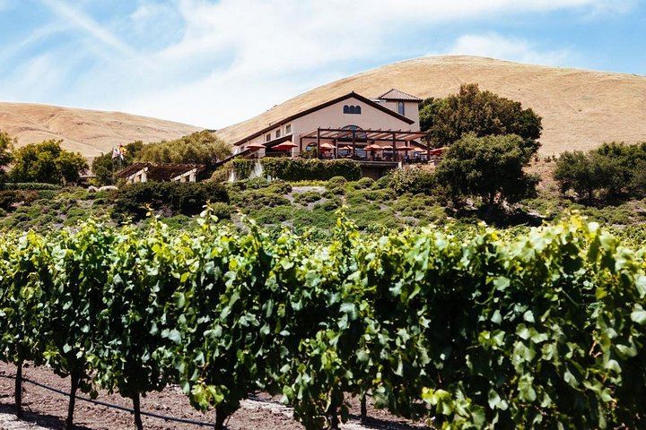 Private 8-Hour Sonoma and Napa Wine Tour from San Francisco with Concierge (2/8)