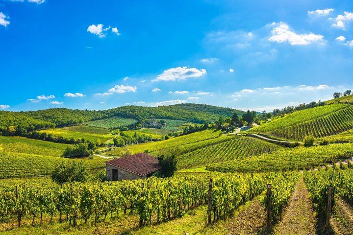 Full-Day Tour from Siena: Montepulciano Lunch, Pienza and Brunello Tasting in Montalcino (8/12)