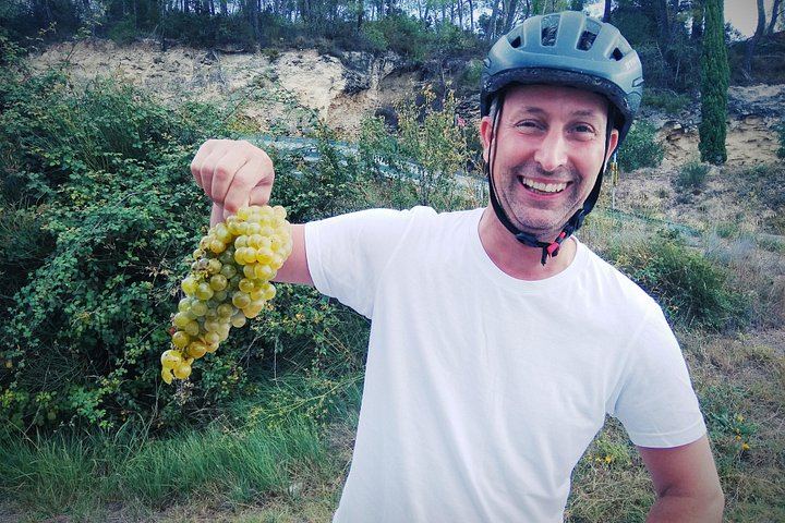 Sitges Bike Tour with Easy Cycling: Alt Penedès Vineyards and Caves Romagosa Torné Tasting (1/12)