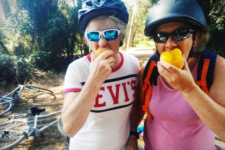 Sitges Bike Tour with Easy Cycling: Alt Penedès Vineyards and Caves Romagosa Torné Tasting (3/12)