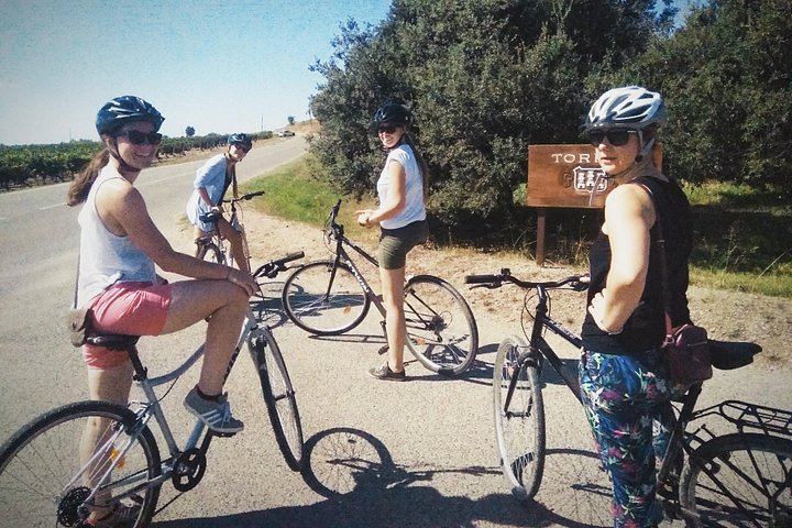 Sitges Bike Tour with Easy Cycling: Alt Penedès Vineyards and Caves Romagosa Torné Tasting (2/12)