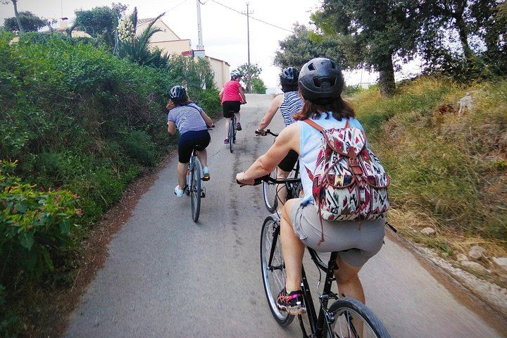 Sitges Bike Tour with Easy Cycling: Alt Penedès Vineyards and Caves Romagosa Torné Tasting (8/12)