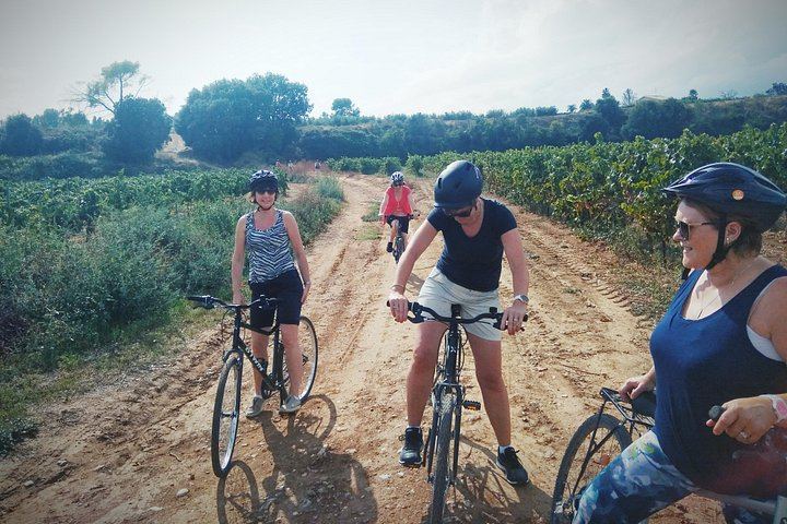 Sitges Bike Tour with Easy Cycling: Alt Penedès Vineyards and Caves Romagosa Torné Tasting (4/12)