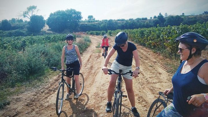 Sitges Bike Tour with Easy Cycling: Alt Penedès Vineyards and Caves Romagosa Torné Tasting (4/12)