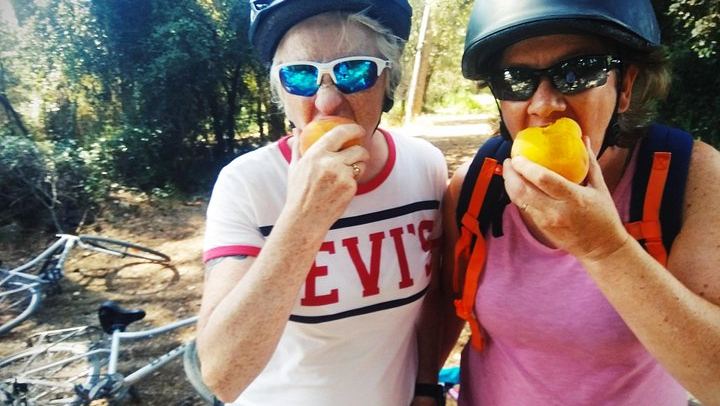 Sitges Bike Tour with Easy Cycling: Alt Penedès Vineyards and Caves Romagosa Torné Tasting (3/12)