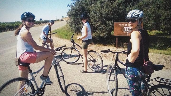 Sitges Bike Tour with Easy Cycling: Alt Penedès Vineyards and Caves Romagosa Torné Tasting (2/12)