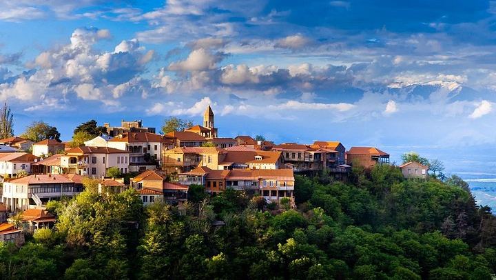 Kakheti Wine Tour by White Minibus from Tbilisi: Bodbe, Sighnaghi Museum and Telavi (3/12)