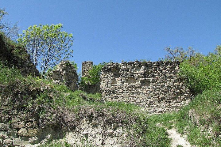 Kakheti Wine Tour by White Minibus from Tbilisi: Bodbe, Sighnaghi Museum and Telavi (12/12)
