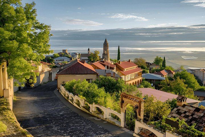 Kakheti Wine and Monastery Day Trip from Tbilisi: Qvevri Family Winery and Telavi (4/9)