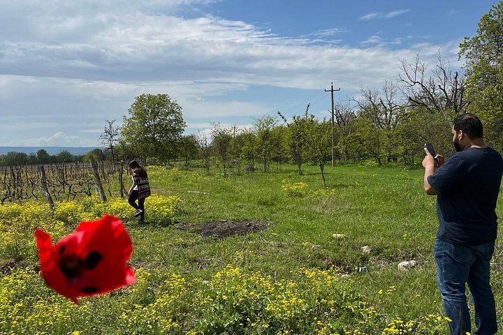 Private Day Trip from Tbilisi: Sighnaghi Walls, Bodbe Spring and Winery Tasting (12/12)