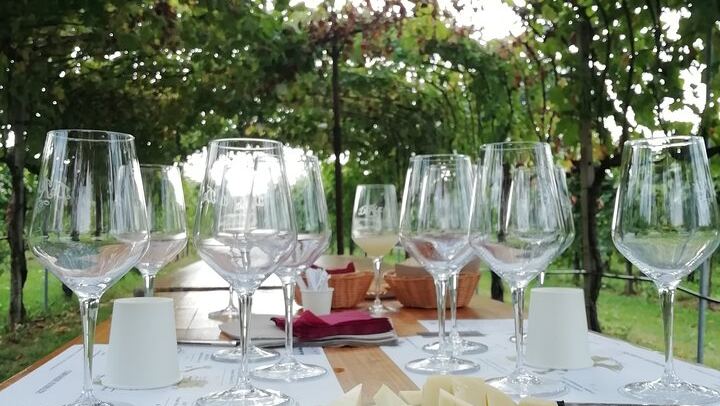 Venice Piazzale Roma 9 AM Departure: Prosecco Valdobbiadene DOCG at a Family Vineyard (3/12)