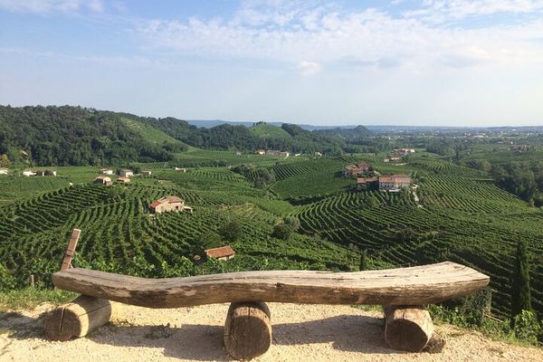 Venice Piazzale Roma 9 AM Departure: Prosecco Valdobbiadene DOCG at a Family Vineyard