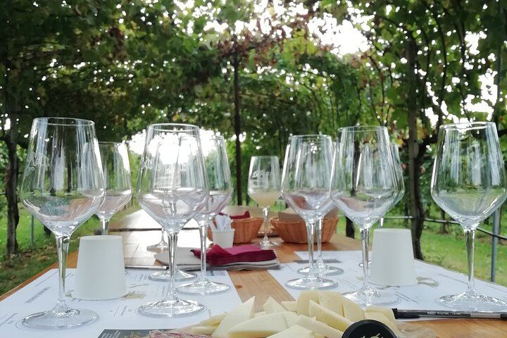 Venice Piazzale Roma 9 AM Departure: Prosecco Valdobbiadene DOCG at a Family Vineyard (3/12)