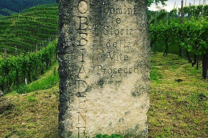 Venice Piazzale Roma 9 AM Departure: Prosecco Valdobbiadene DOCG at a Family Vineyard (12/12)